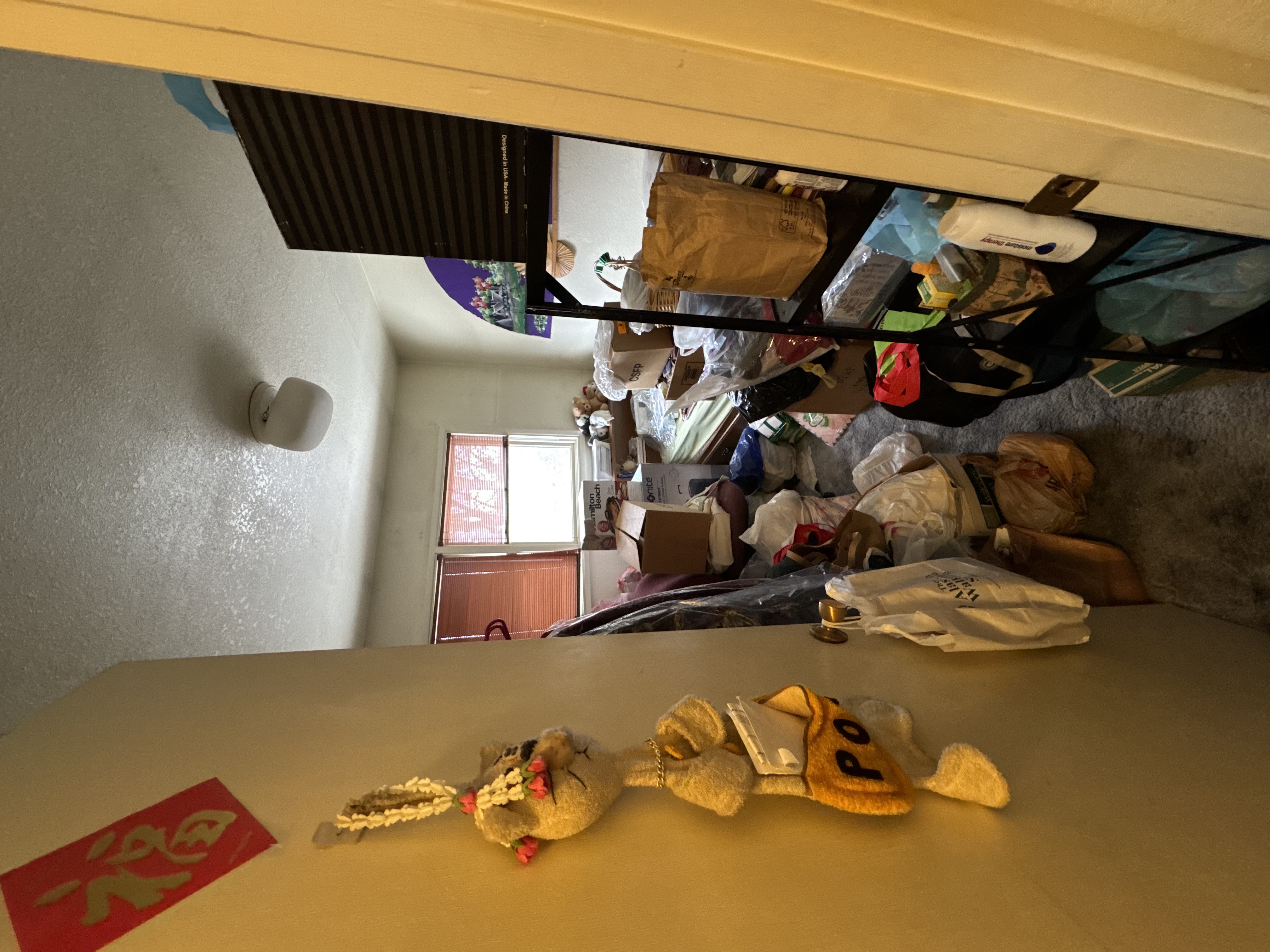 Before full home cleanout project